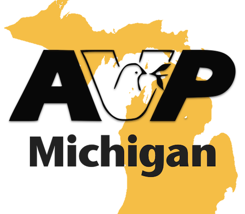 AVP Michigan Logo